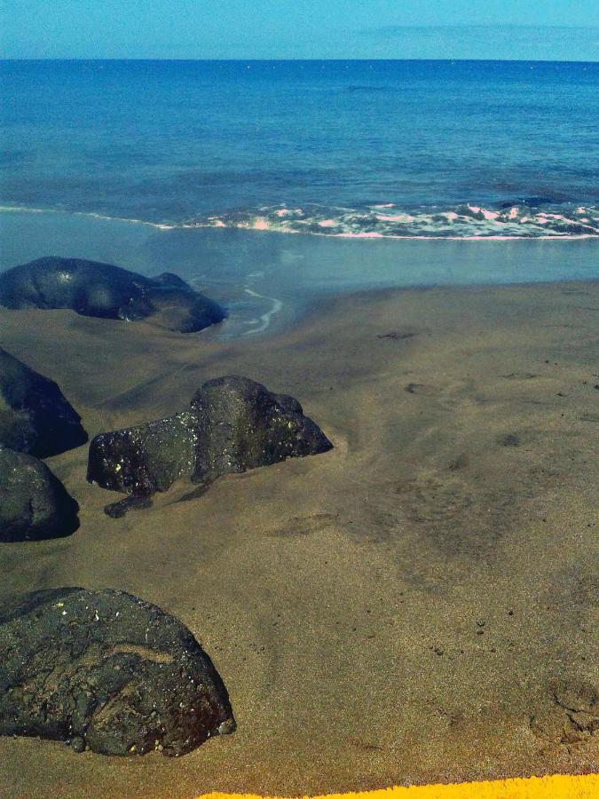 Apartamento A 1 Minuto De La Playa De Sardina Las Palmas de Gran Canaria Eksteriør billede